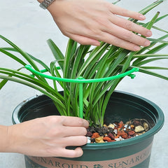 Plant Support Pot Holder for Garden Climbing Vine - Set of 2