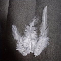 10pcs Artificial Chicken Feathers DIY Crafts Hats Bows Wall Decorations