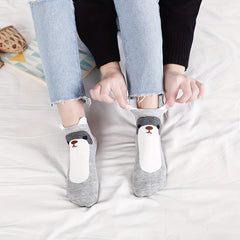 5 Pairs Cute Animal Print Low Cut Socks Women's Stockings