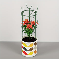 Versatile Plant Fixed Rattan Climbing Bracket Monthly Rattan Climbing Rack