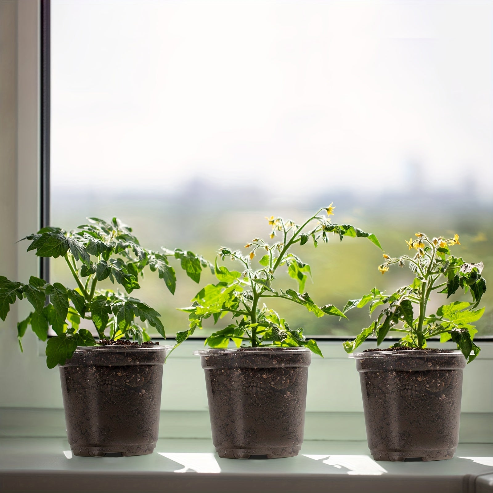 30 Clear Nursery Pots with Humidity Domes 10-16 cm - Seed Starter Pots