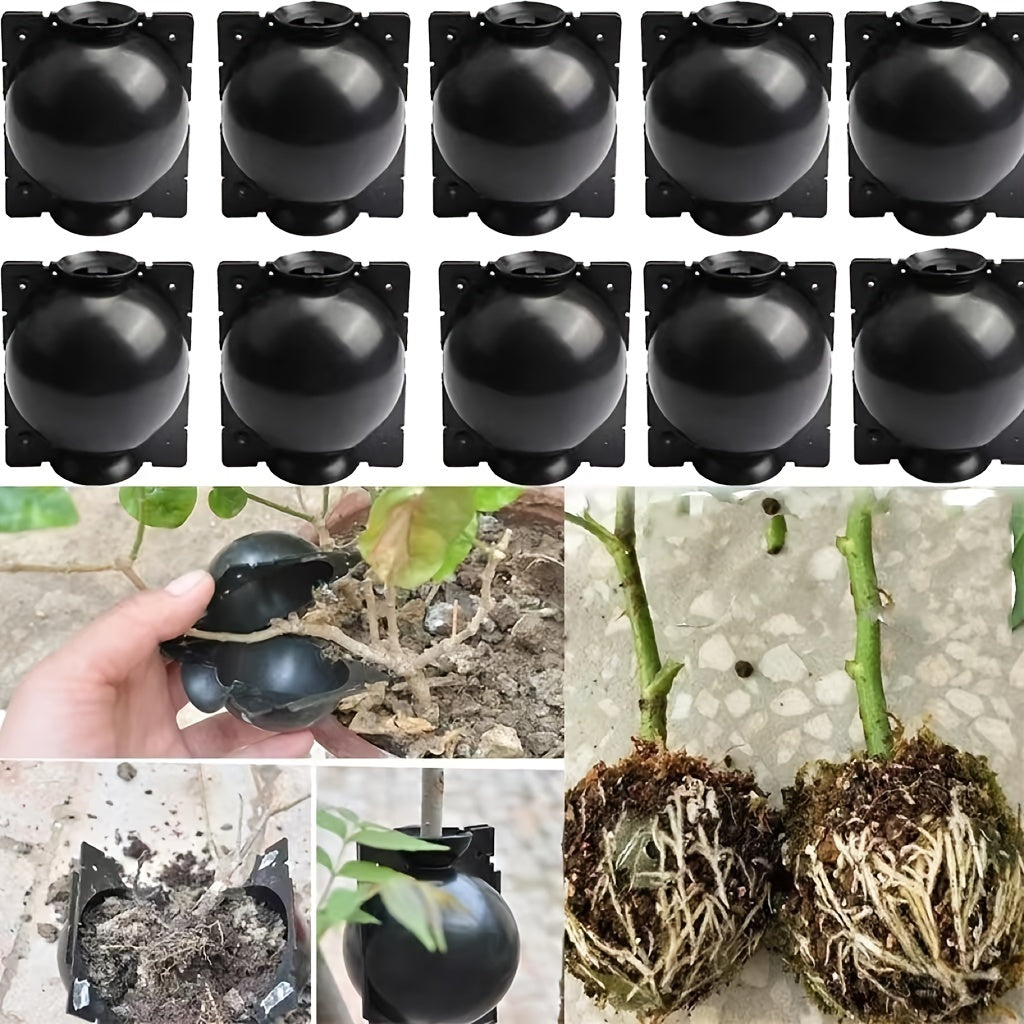Plant Rooting Tools Garden Gardening High Pressure Propagation Boxes