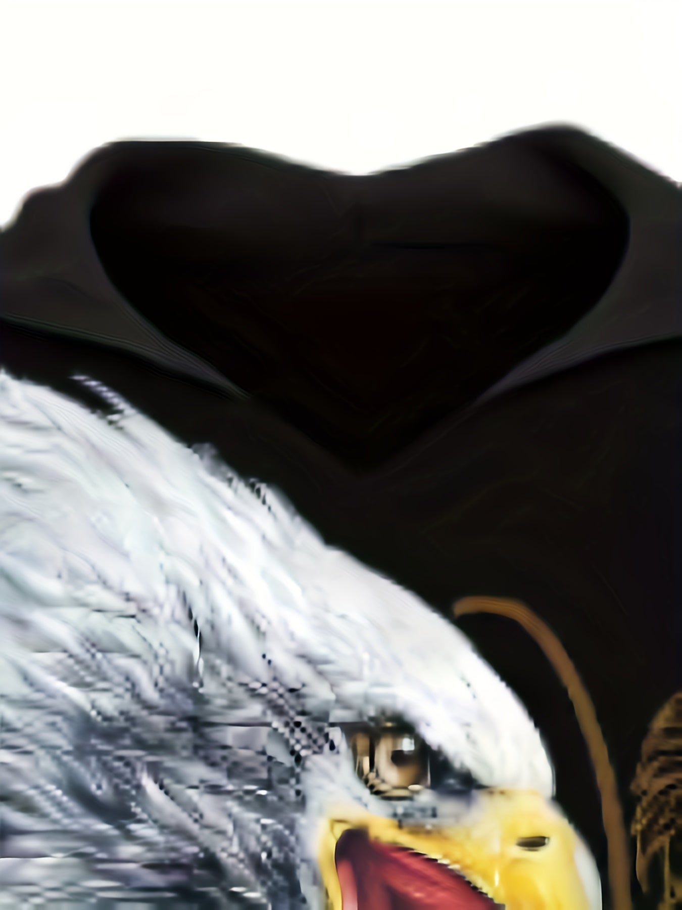 Men's Eagle Print Hoodie Graphic Sweatshirt Pullover