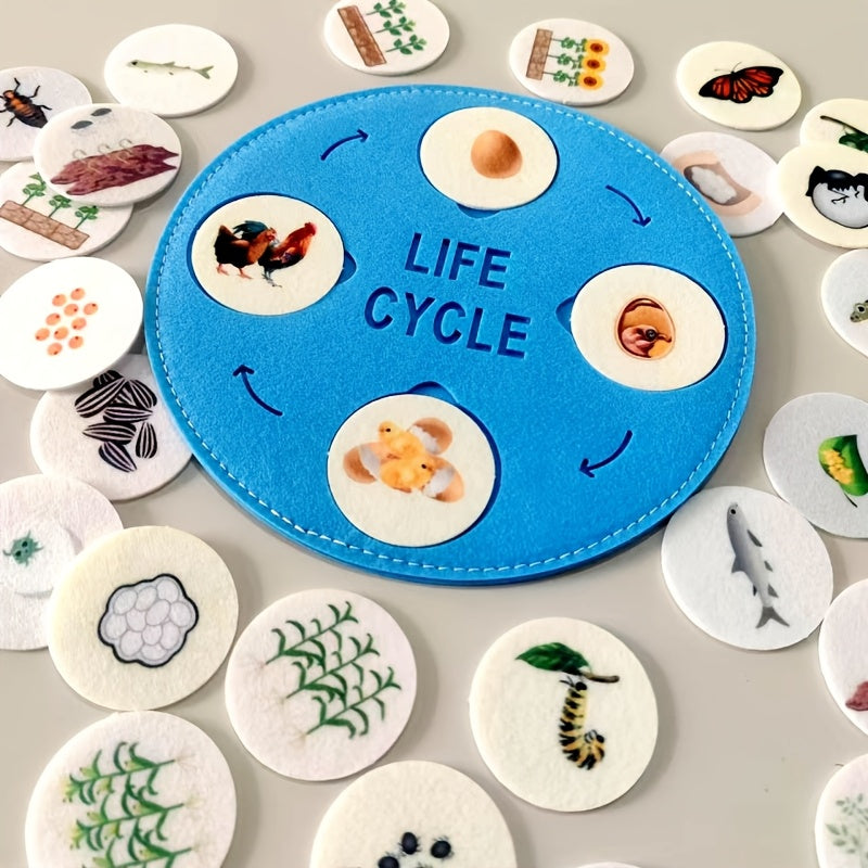 Educational Felt Life Cycle Game Interactive Learning Toy