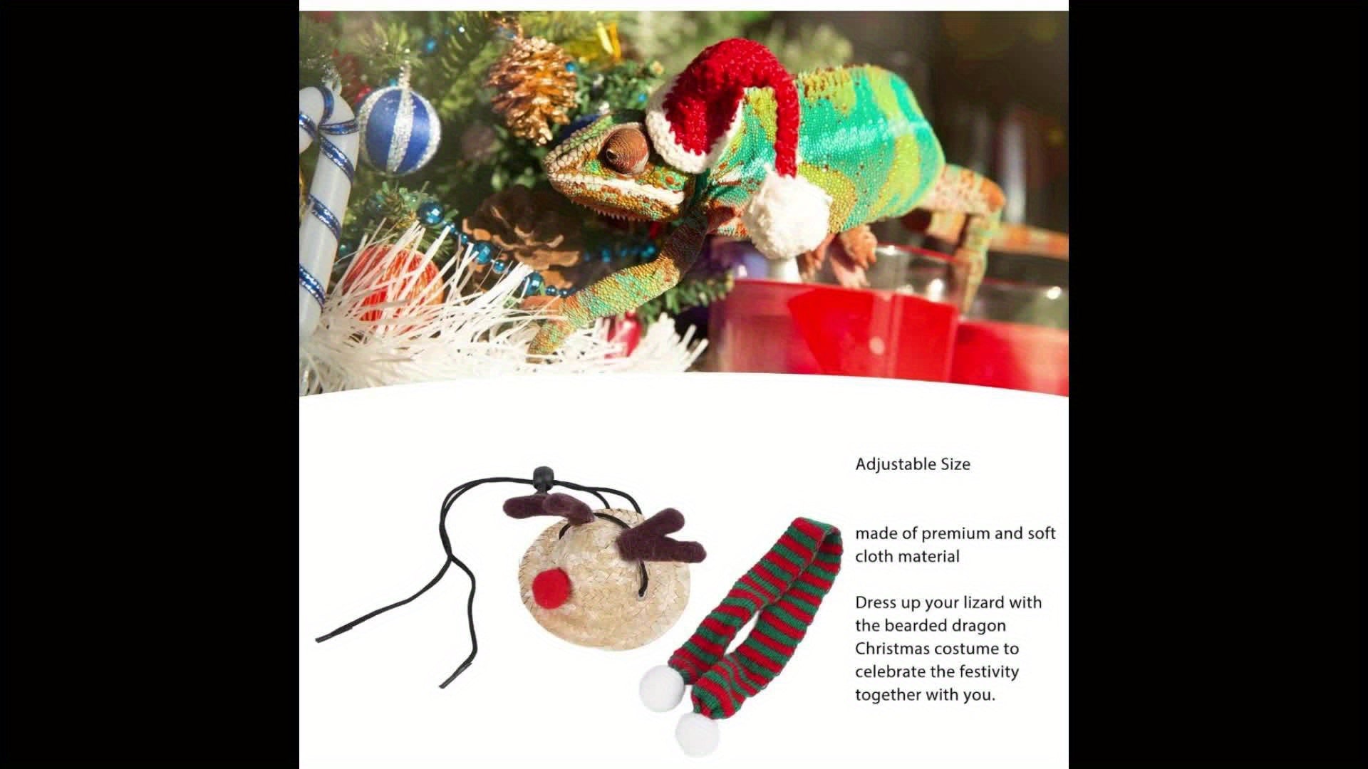 Festive Bearded Dragon Santa Hat with Scarf Christmas Costume