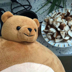 Cute Teddy Bear with Funny Head & Muscular Body - Birthday Gift