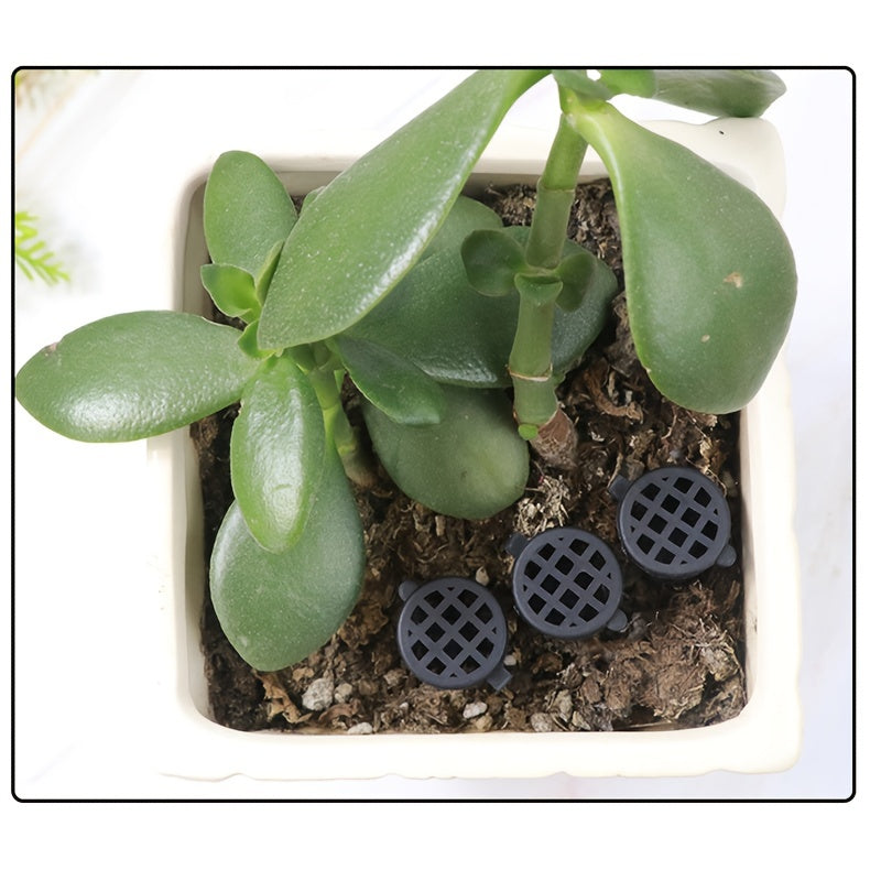 10pcs Plastic Bonsai Fertilizer Box with Lid