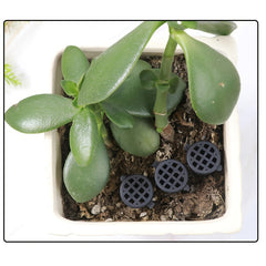 10pcs Plastic Bonsai Fertilizer Box with Lid