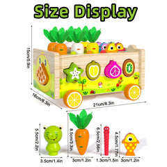 Wooden Educational Toys Frog Fish Pond Farm Shape Sorting Matching Game Car