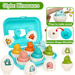 Sensory Matching Eggs Educational Toddler Toys