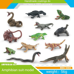 Wild Amphibians & Reptiles Toy Set for Kids
