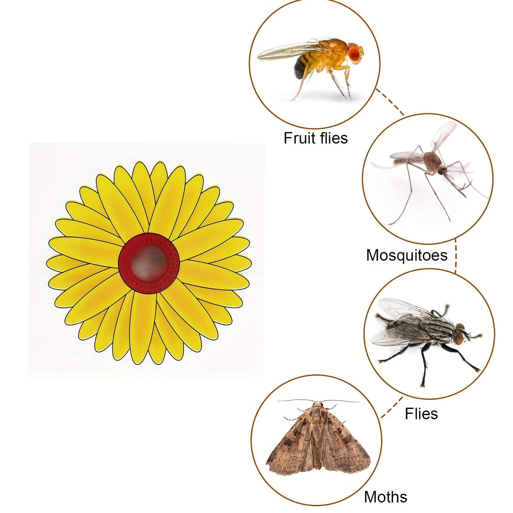 4pcs Indoor Sunflower Fly Catcher Window Fly Sticker
