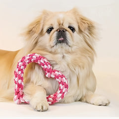 Dog Cotton Rope Chew Toy Teeth Cleaning Bite Training Toy