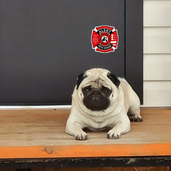 5 Pack Pet Alert Safety Fire Rescue Stickers Emergency Pet Interior Decal