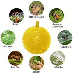 Pumpkin Fly Trap Ball - Instantly Eliminate Flies