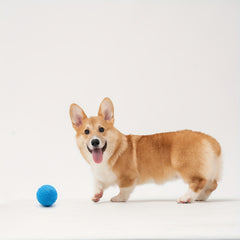 Squeaky Rubber Ball Dog Toy for All Sizes of Dogs