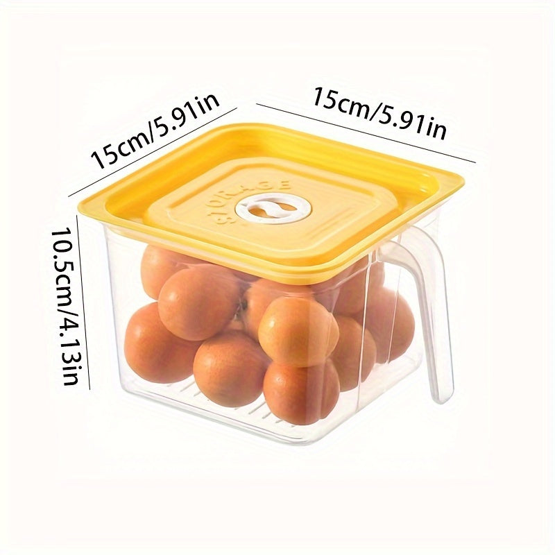 Large Capacity Refrigerator Storage Box With Lid And Handle
