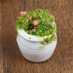 2pcs Green Plant Bonsai Flower Pots Dollhouse Furniture Accessories