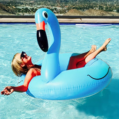 Flamingo Inflatable Swimming Float Pool Toy