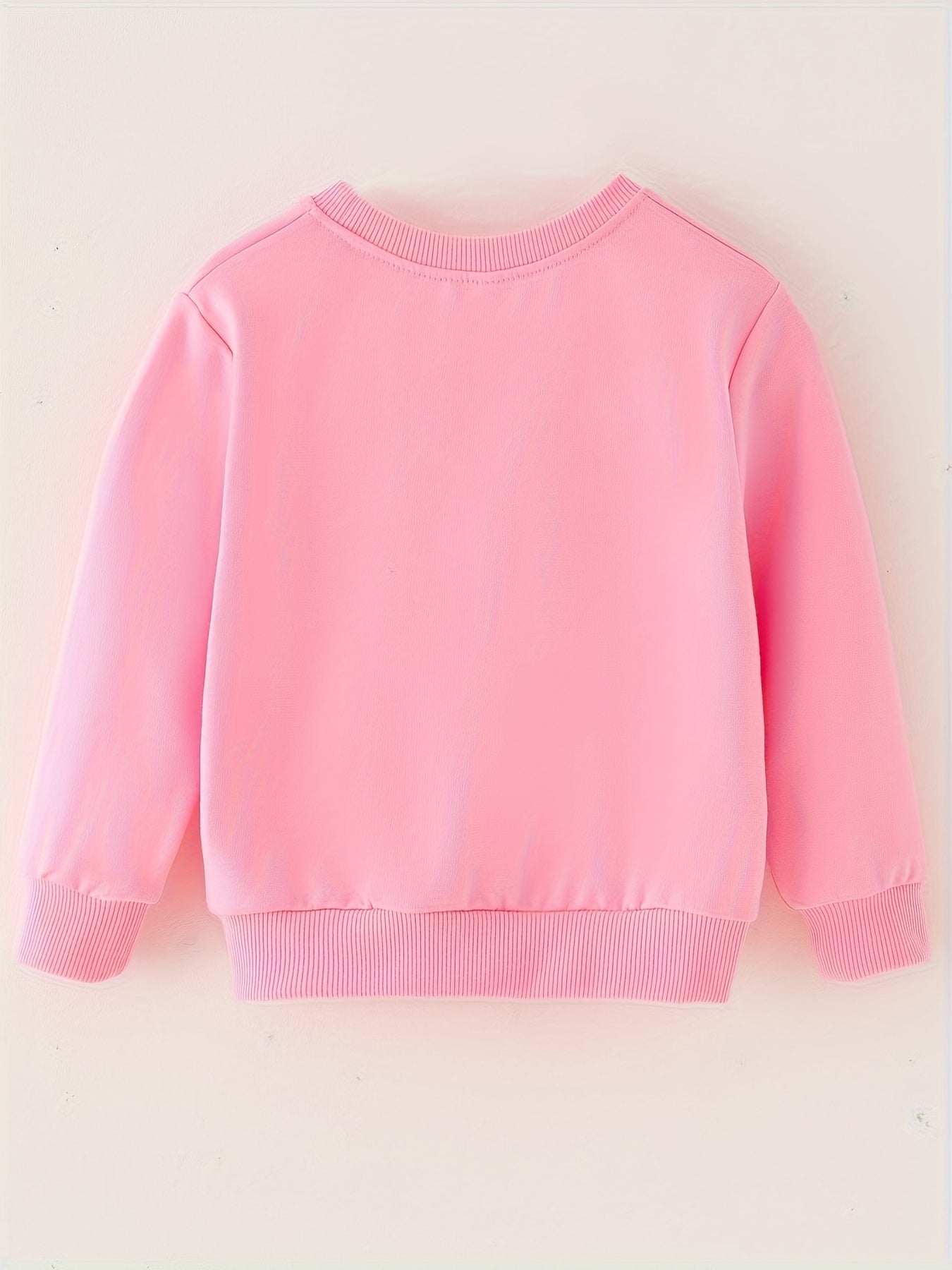 Baby Round Neck Sweatshirt Long Sleeve Pullover