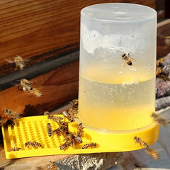 Bee Feeder Plastic Water Dispenser Beekeeping Tool