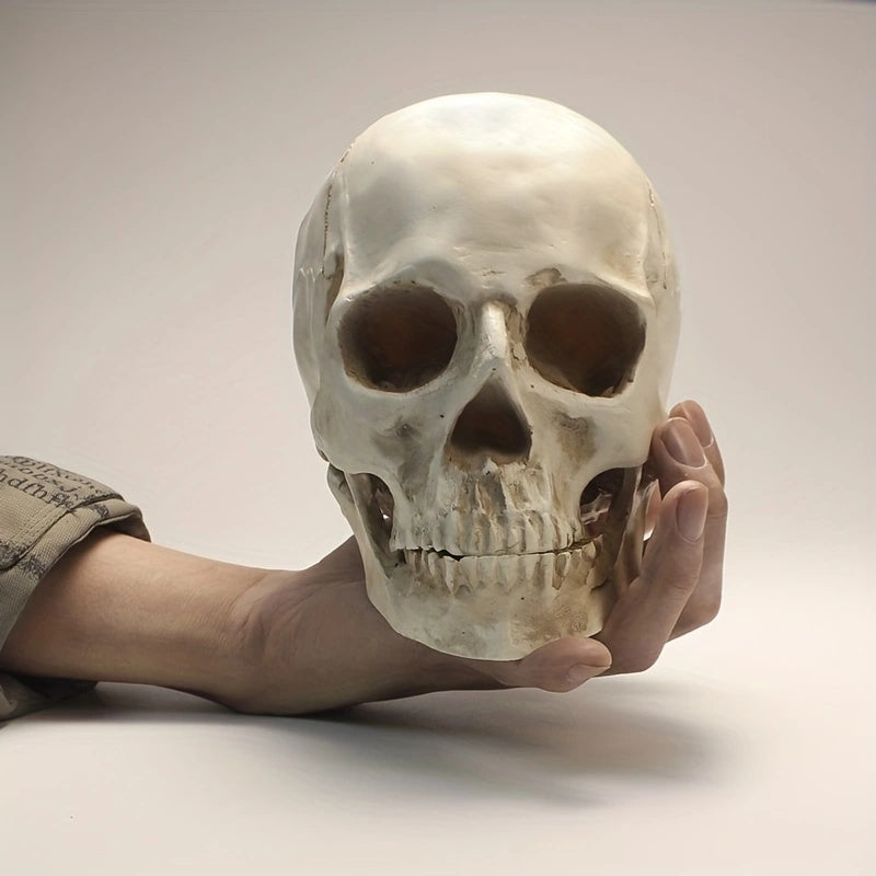 1pc Resin Skull Model Creative Halloween Ornaments