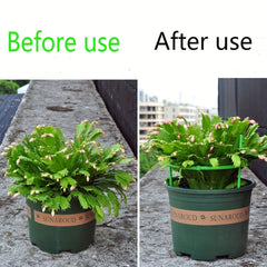 Plant Support Pot Holder for Garden Climbing Vine - Set of 2