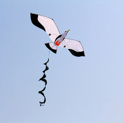 3D Seagull Kite Weifang Kite 55in