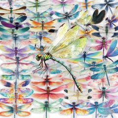 50pcs Insects & Dragonflies Waterproof PET Stickers Art Decals for DIY