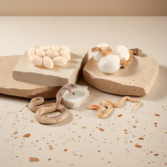 Snake Growth Cycle Sensory Toy with Habitat