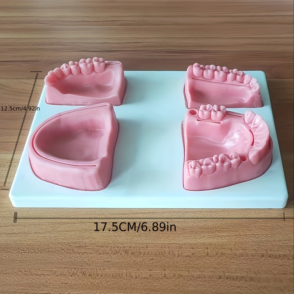 Dental Suture Practice Model for Training – CRAZE