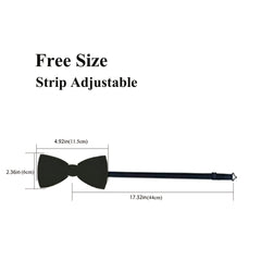 Barry Wang Golden Paisley Bow Tie Classic Pre Tied Adjustable Cravat Set