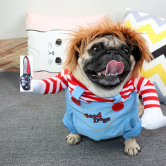 Pet Costumes for Halloween & Christmas
