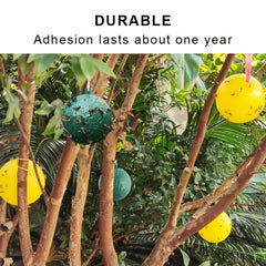 Pumpkin Shaped Fly Trap Ball for Your Garden