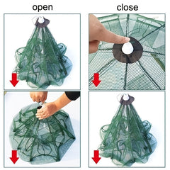 Collapsible Fishing Net for Live Fish and Shrimp