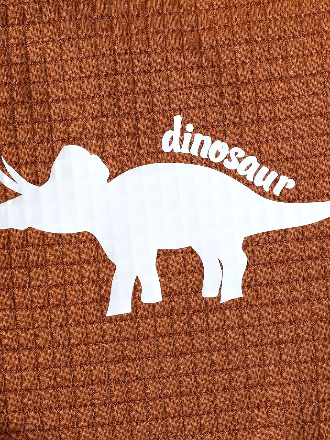 Dinosaur Print Boys Casual Pullover Sweatshirt Long Sleeve Crew Neck Tops