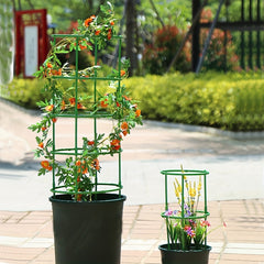 Plant Support Cages for Tomatoes Cucumbers Flowers Fruits