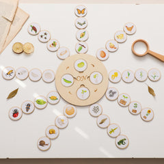 Wooden Life Cycle Board Puzzle Growth Circle Cognitive Educational Toys