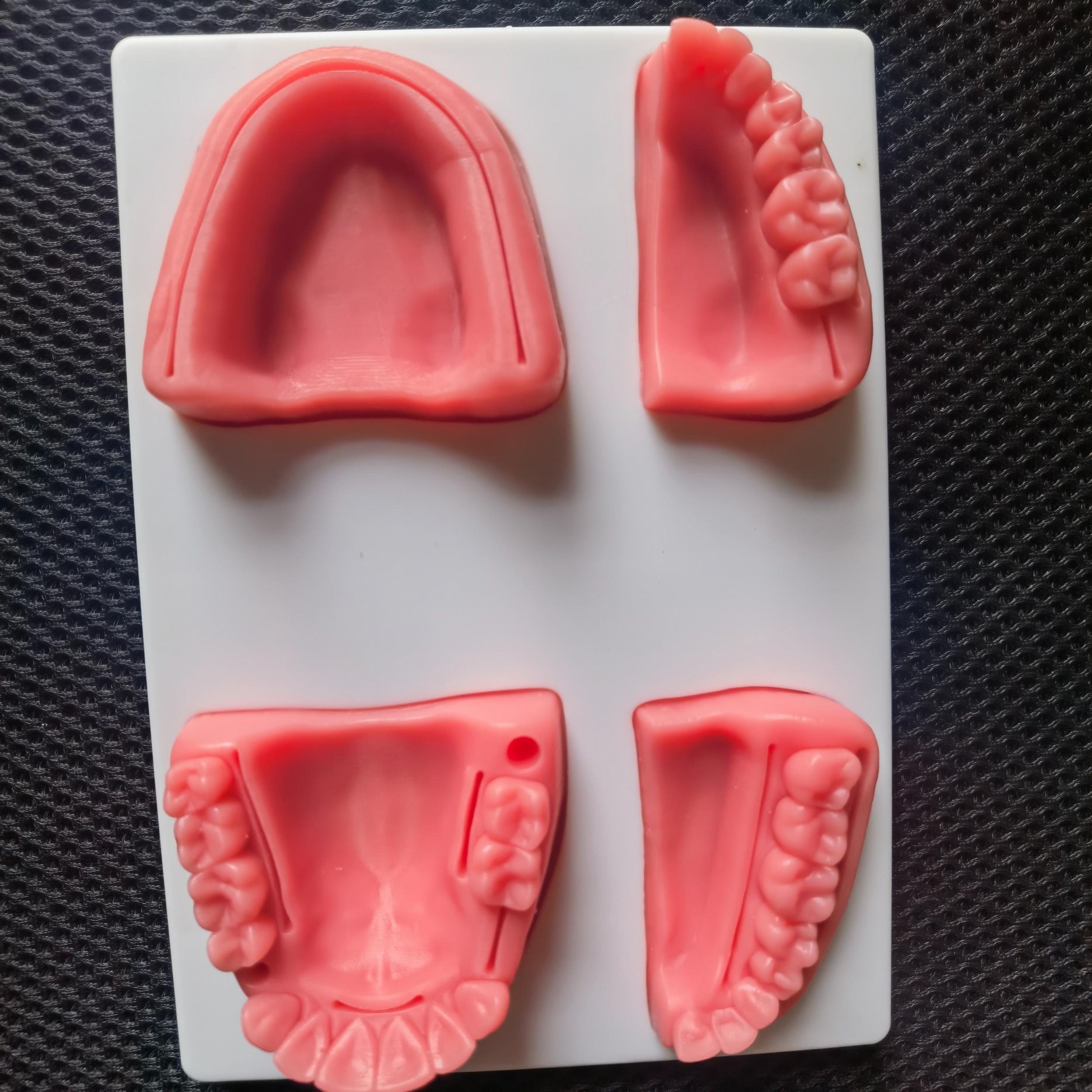 Dental Suture Practice Model for Training – CRAZE