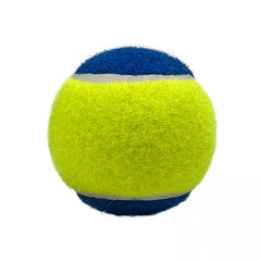 4pcs Tennis Practice Balls with Mesh Bag - Beginners