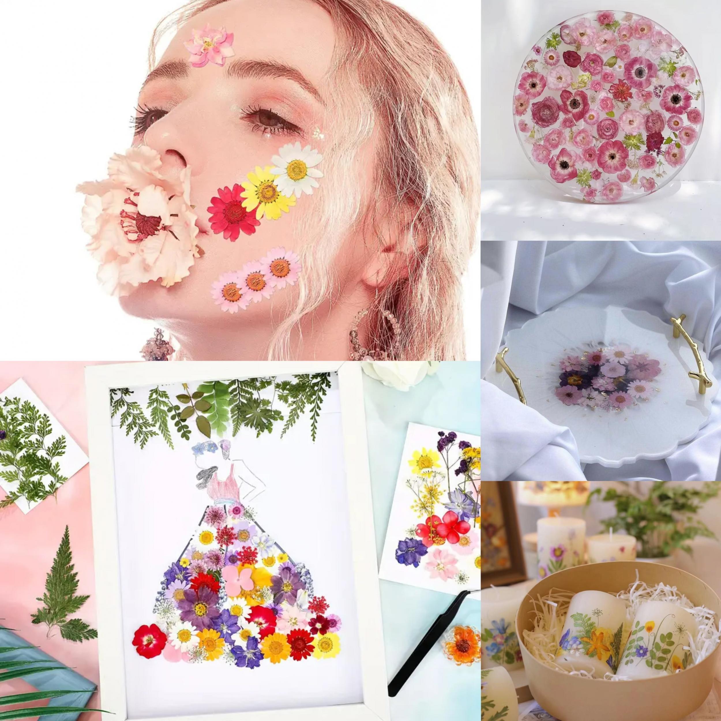 20pcs Dried Flower DIY Craft Kit - Wall Art, Photo Frames, Books