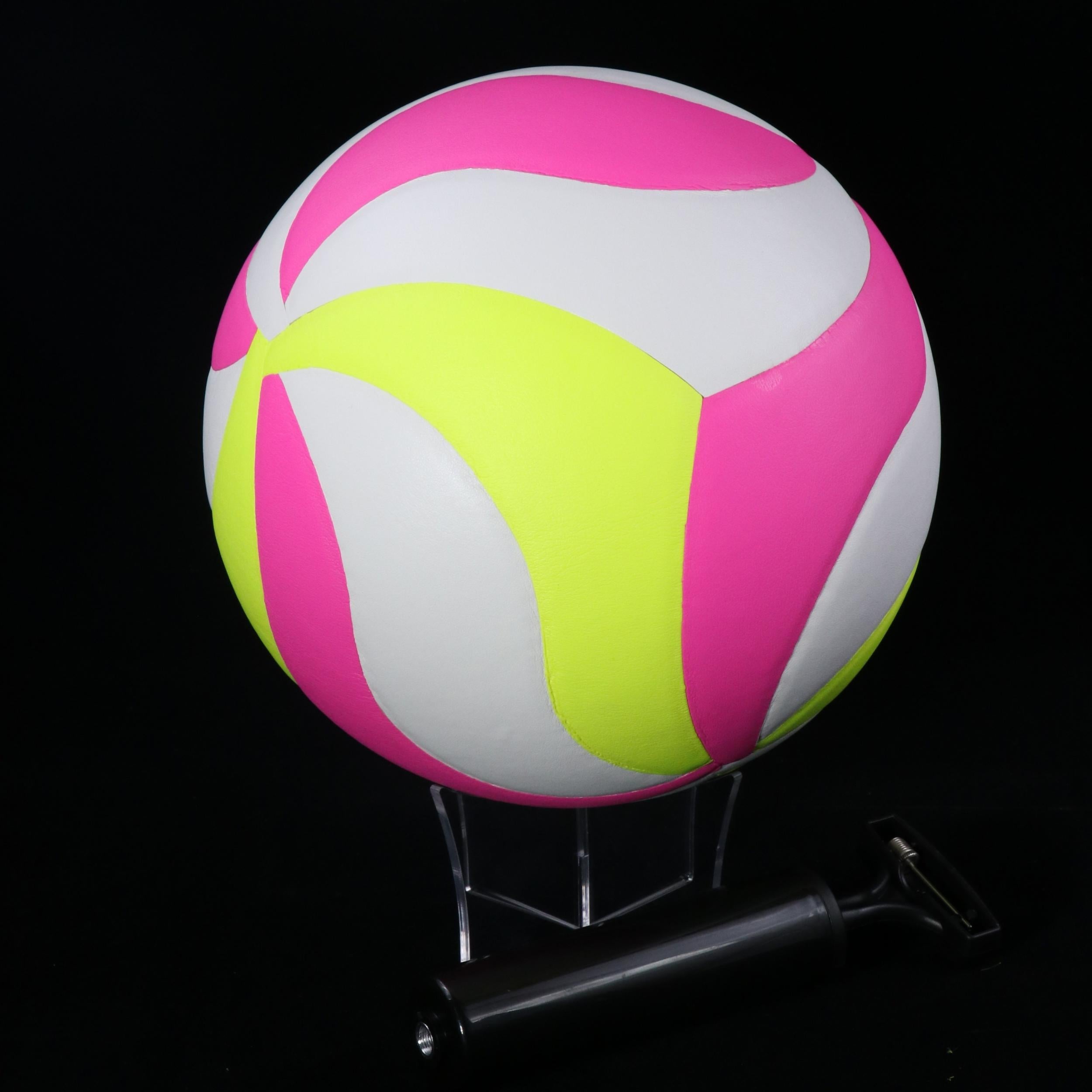 Professional Competition Volleyball No 5 with Pump